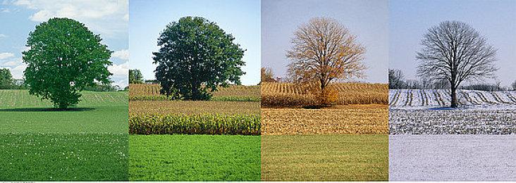 《暗黑破坏神3》国服已正式回归 登录奖励开始发放